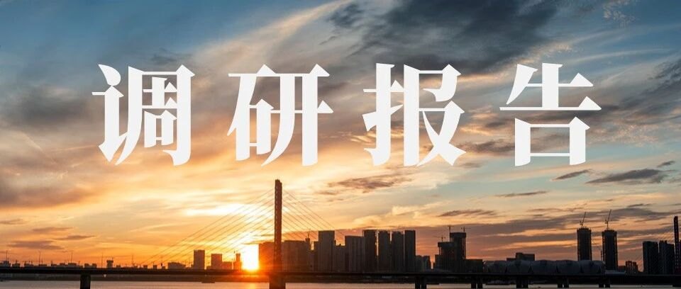 【调研】山东河南区域纯苯苯乙烯产业调研